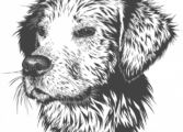 världens dyraste hund