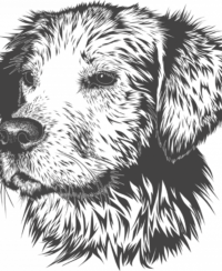 världens dyraste hund